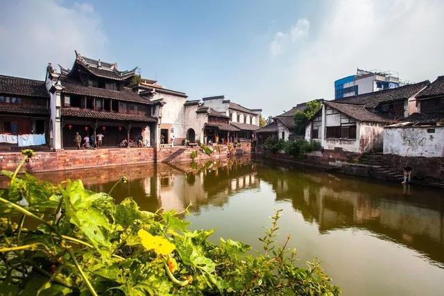 瑞德的冒险之旅中文版